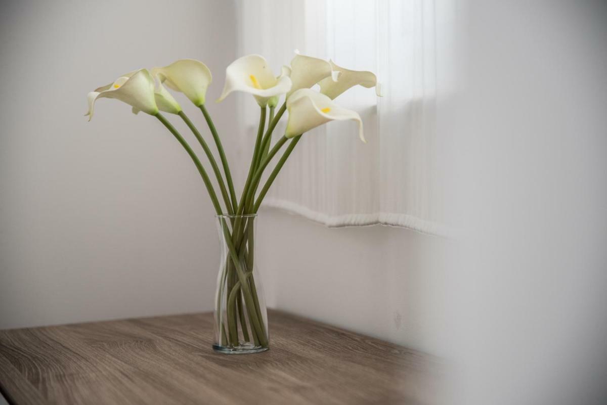 Terrazzo Siciliano Lejlighed Riposto Eksteriør billede